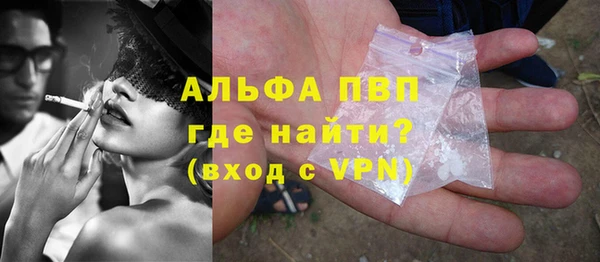 индика Баксан