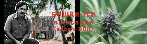 индика Баксан