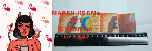 индика Баксан