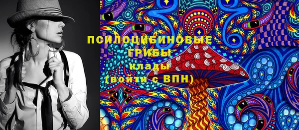 индика Баксан