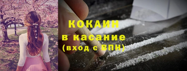 индика Баксан