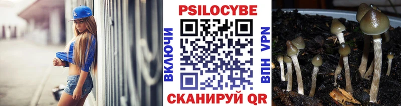 Псилоцибиновые грибы Magic Shrooms  Иноземцево 