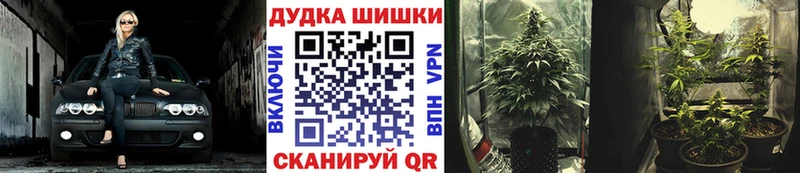 Конопля Bruce Banner  Иноземцево 